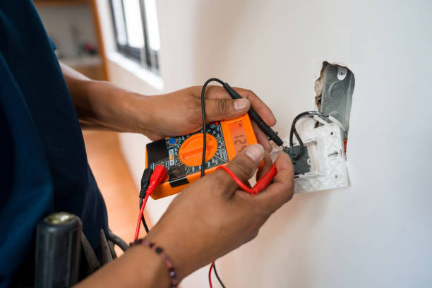 Best Electrical System Inspection  in Bridgeport, MI